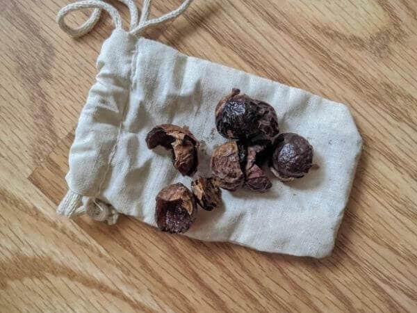 Soap nuts laundry detergent