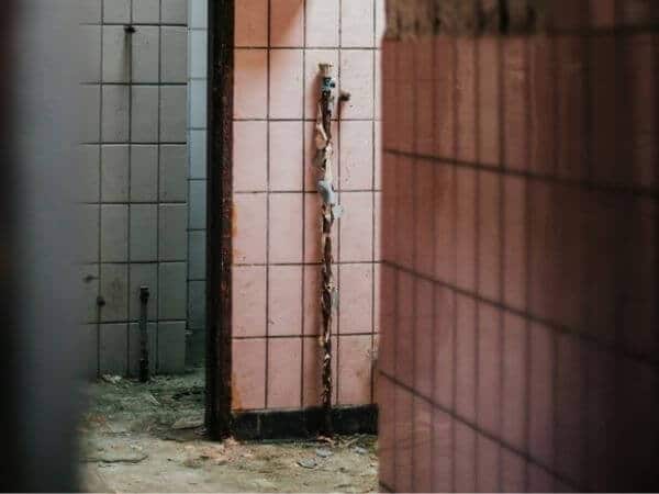 pink mold in the shower