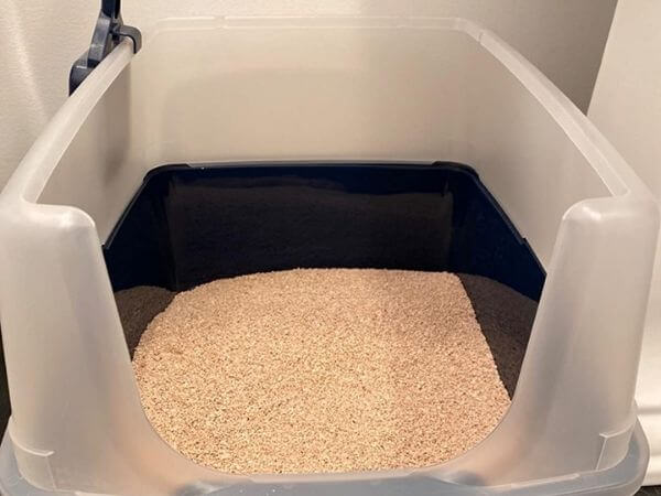 can you vacuum up kitty litter