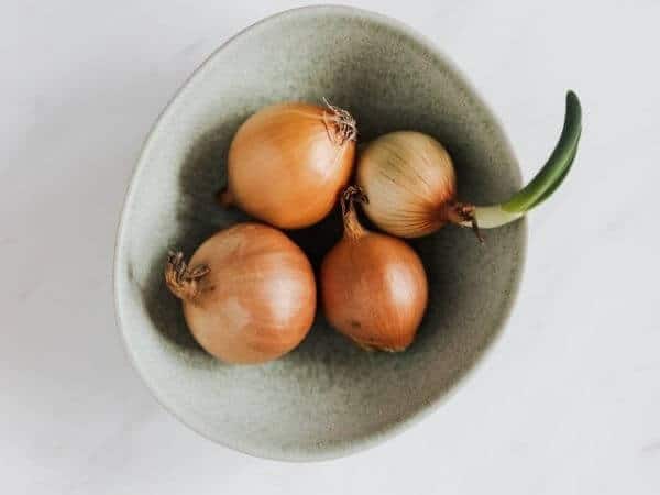 what are shower onions